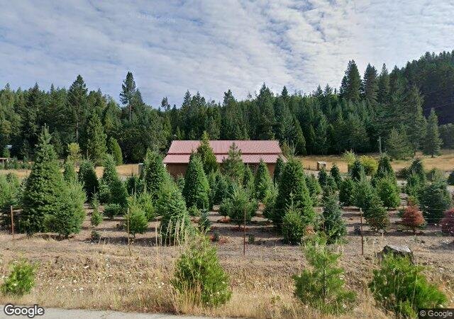 George's U-Cut Christmas Tree Farm in Azalea, OR