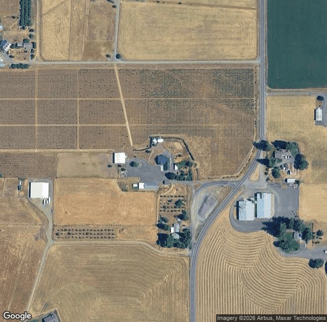 Aerial view of Willoughby Christmas Tree Farm in Junction City, OR